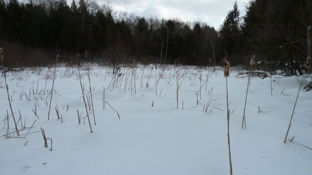 [P1040499[4].jpg]