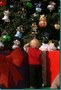 IMG_8788