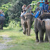 DSC_0254.JPG, Elephant Safari, Royal Chitwan National Park, Nepal, Chitwan National Park, Nepal