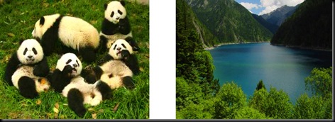sichuan sichuan