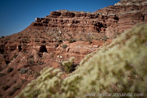 red bull rampage desbaratinando (32)