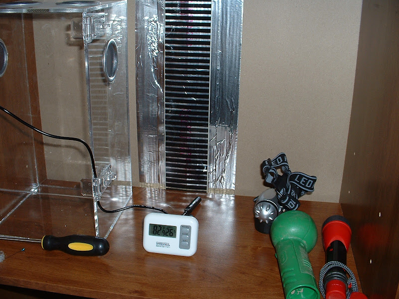 Heat source for my tarantula? Arachnoboards