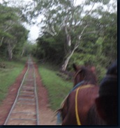 Donkey Railroad