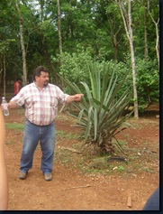 Our Guide with the agave