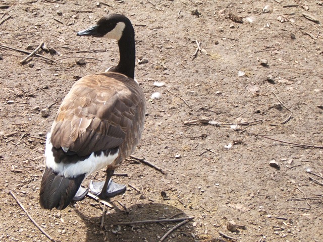 [2007_0713_143635AA[12].jpg]