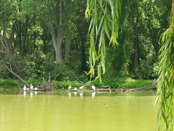 [2007_0713_144125AA[6].jpg]