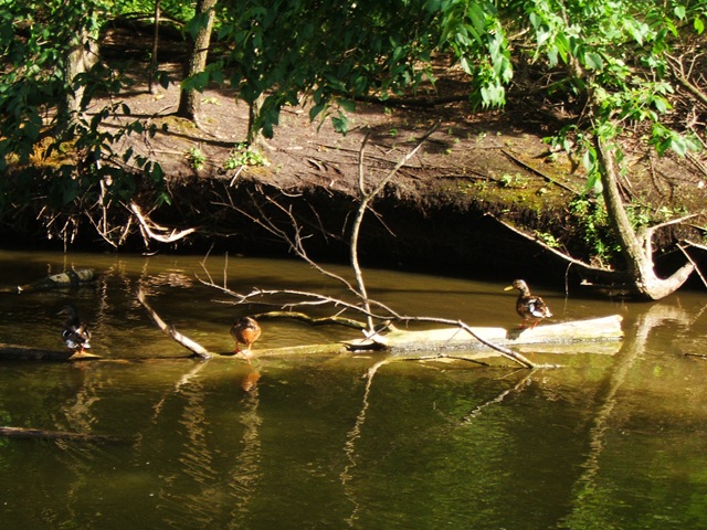 [2007_0713_145810AA[14].jpg]