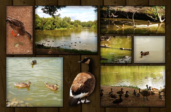 [2007-07-13 - Nature Preserve-2[6].jpg]