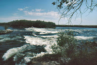 40810b9c_167848.jpg