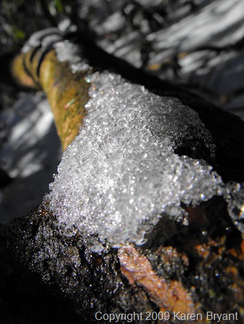 [meltingsnow1_sm[7].jpg]