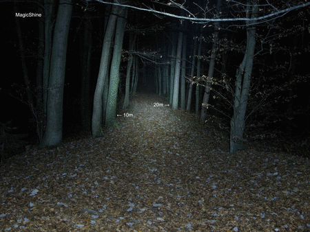 Animated Forest Gif