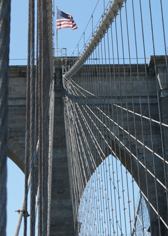 [DSC09103[4].jpg]