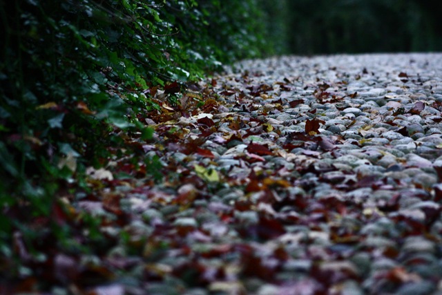 [IMG_19533.jpg]