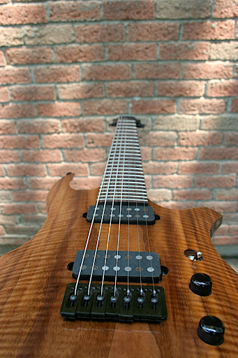 View from the butt end of the guitar.