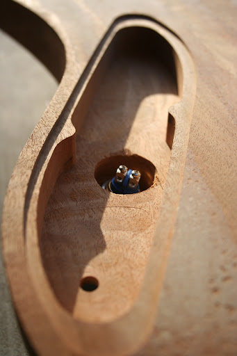 Interior shot of the control cavity showing the kill switch installed on an angle, flush with the curved top.