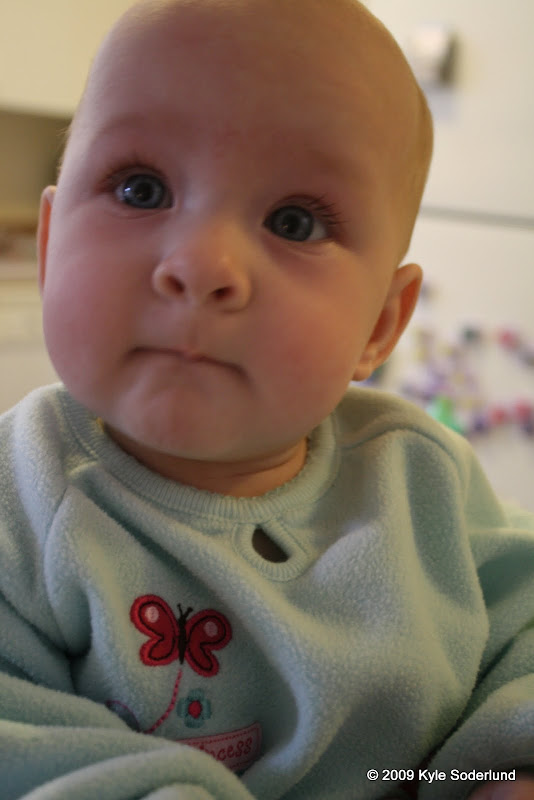 IMAGE: http://lh4.ggpht.com/_V93rniTx6r0/SsoNv_z6TOI/AAAAAAAAACg/uViA8f4QP70/s800/IMG_1847.JPG