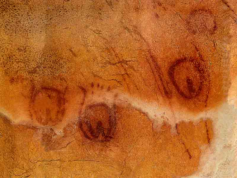 Vulvas na cova de Tito Bustillo, Asturias