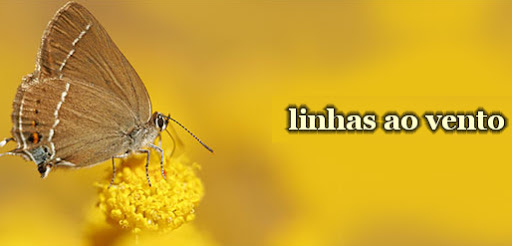 LINHAS AO VENTO