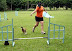 7&Atilde;&fnof;&acirc;&euro;&scaron;&Atilde;&sbquo;&Acirc;&ordf; Etapa - 13/01/2008 - Sandra e Linda