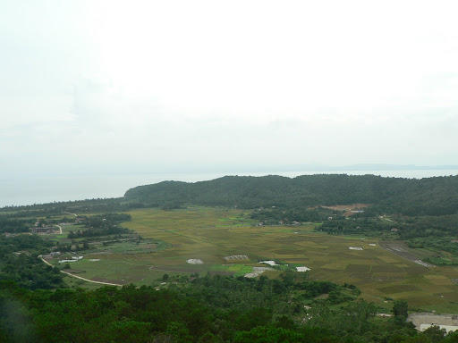 Trên đỉnh. Trời hơi mù chút