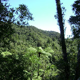 Tramping Club Orientation - Waitakere