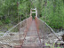 steel caged bridge