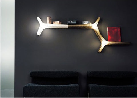 [shelves-with-light[4].jpg]