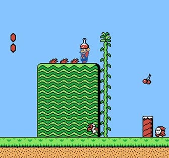 [super-mario-bros-2-nes-potion[4].jpg]