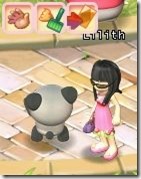 Pet 04