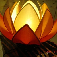 [lamp bloom tangerine[3].jpg]