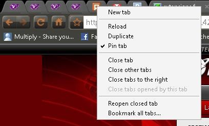 [pin tab[3].jpg]