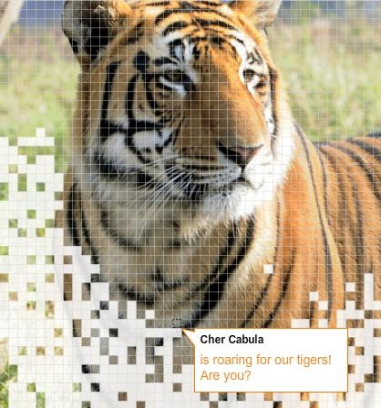 [cher cabula tiger help[5].jpg]