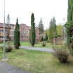 P1010060.JPG