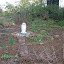 NellJean's Herb garden