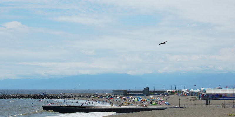 DSC_0028.JPG