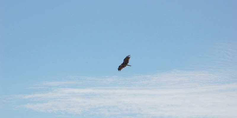 DSC_0030.JPG