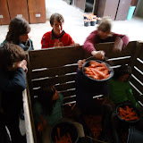 DSC02123.JPG