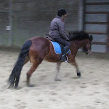 IMG_2022.JPG