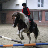 IMG_2211.JPG
