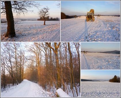 Collage - Winterspaziergang