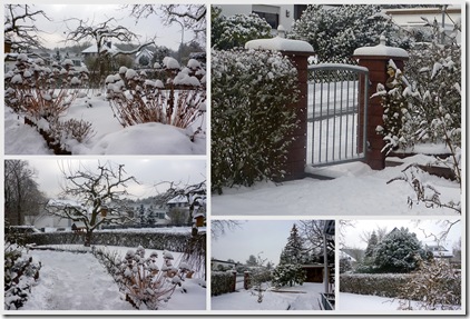 Collage - Schnee am 25.1.2010