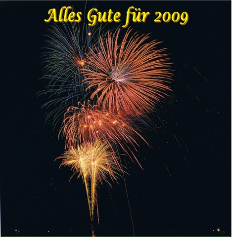[Feuerwerk -Alles Gute für 2009[9].jpg]