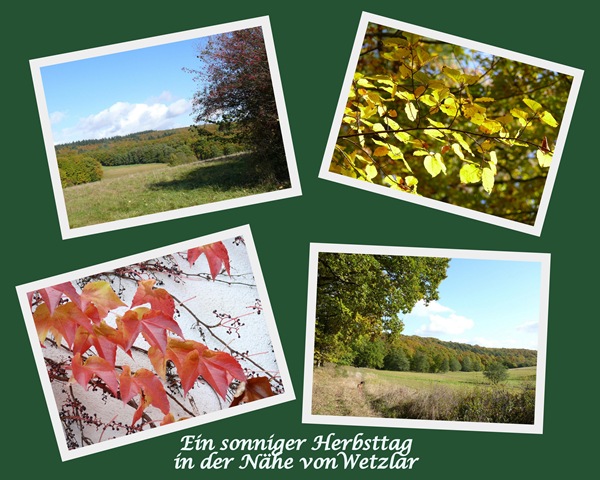 [Collage Ein sonniger Herbsttag[8].jpg]