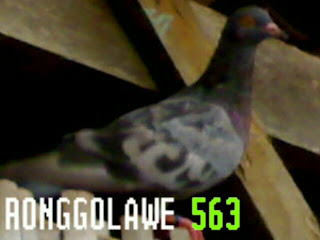 24032011.jpg