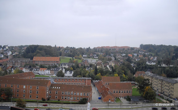 VejleLuftfoto.jpg