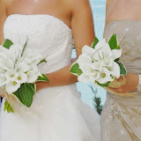 Bridesmaids