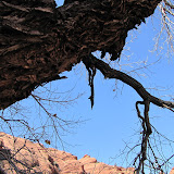 IMG_2441.JPG