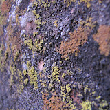 IMG_2499.JPG