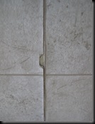 IMG_4325 IMG_4325