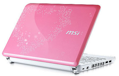 MSI, Wind, Netbook